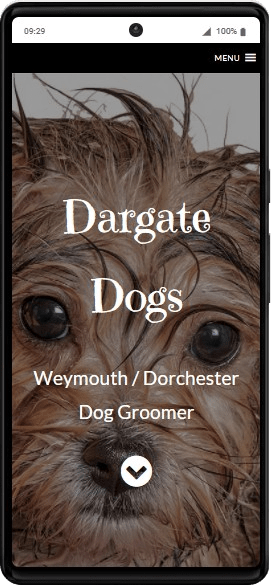 Dargate Dogs - Weymouth Dog Groomer (1)