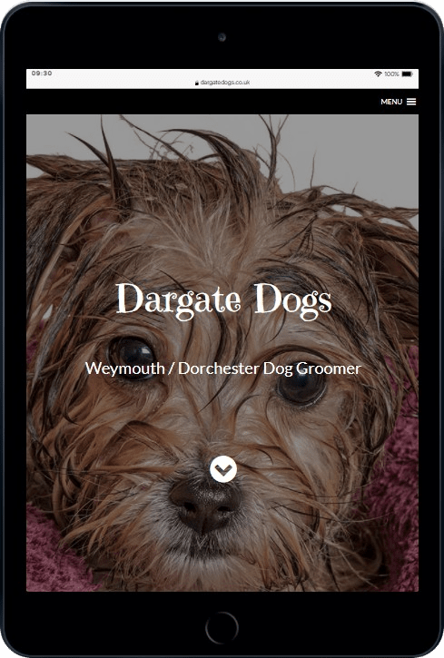 Dargate Dogs - Weymouth Dog Groomer (2)