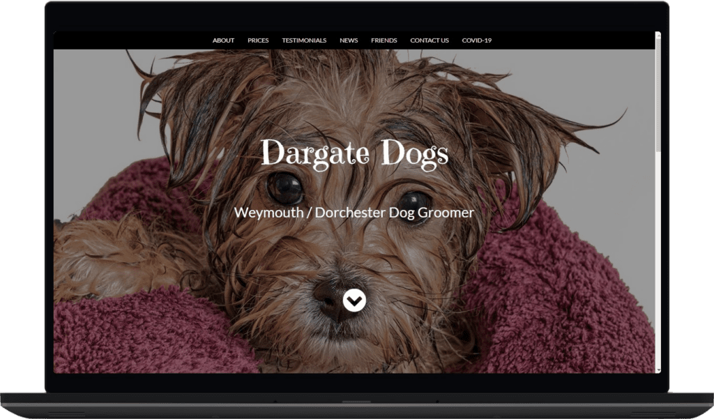 Dargate Dogs - Weymouth Dog Groomer (3)