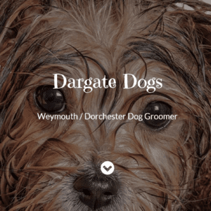 Dargate Dogs