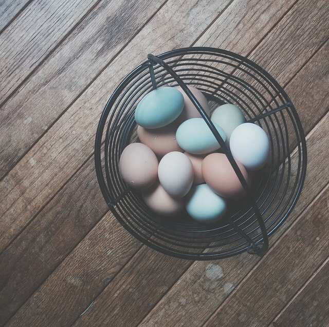 egg_basket_1455798346