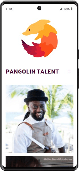 Pangolin Talent (1)