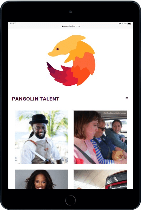 Pangolin Talent (3)