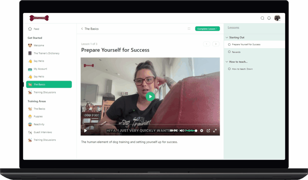 Prepare Yourself for Success - The Hoof & Paws Academy