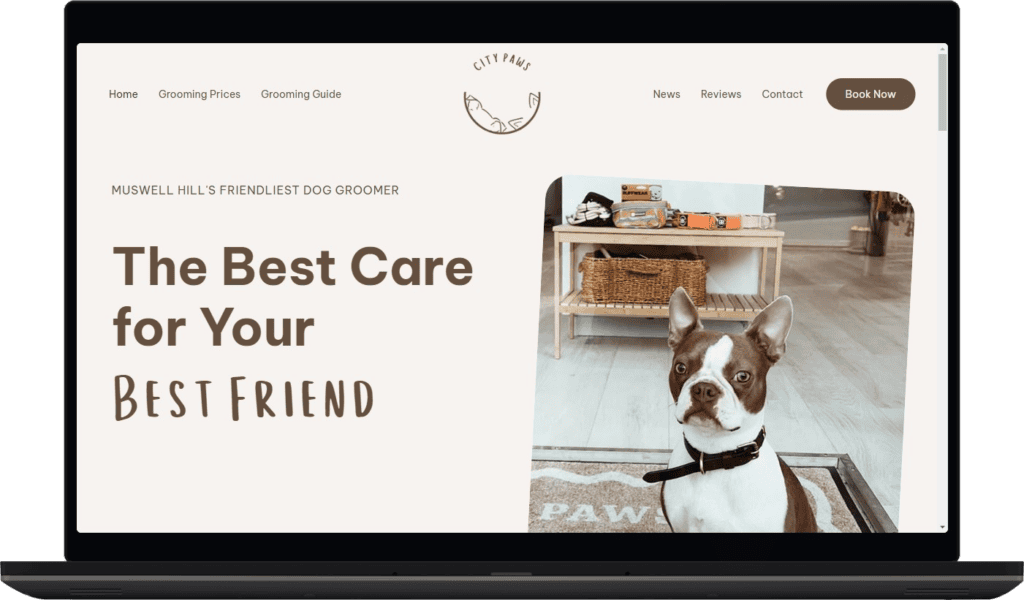 City Paws - Muswell Hill's Friendliest Dog Groomer (1)